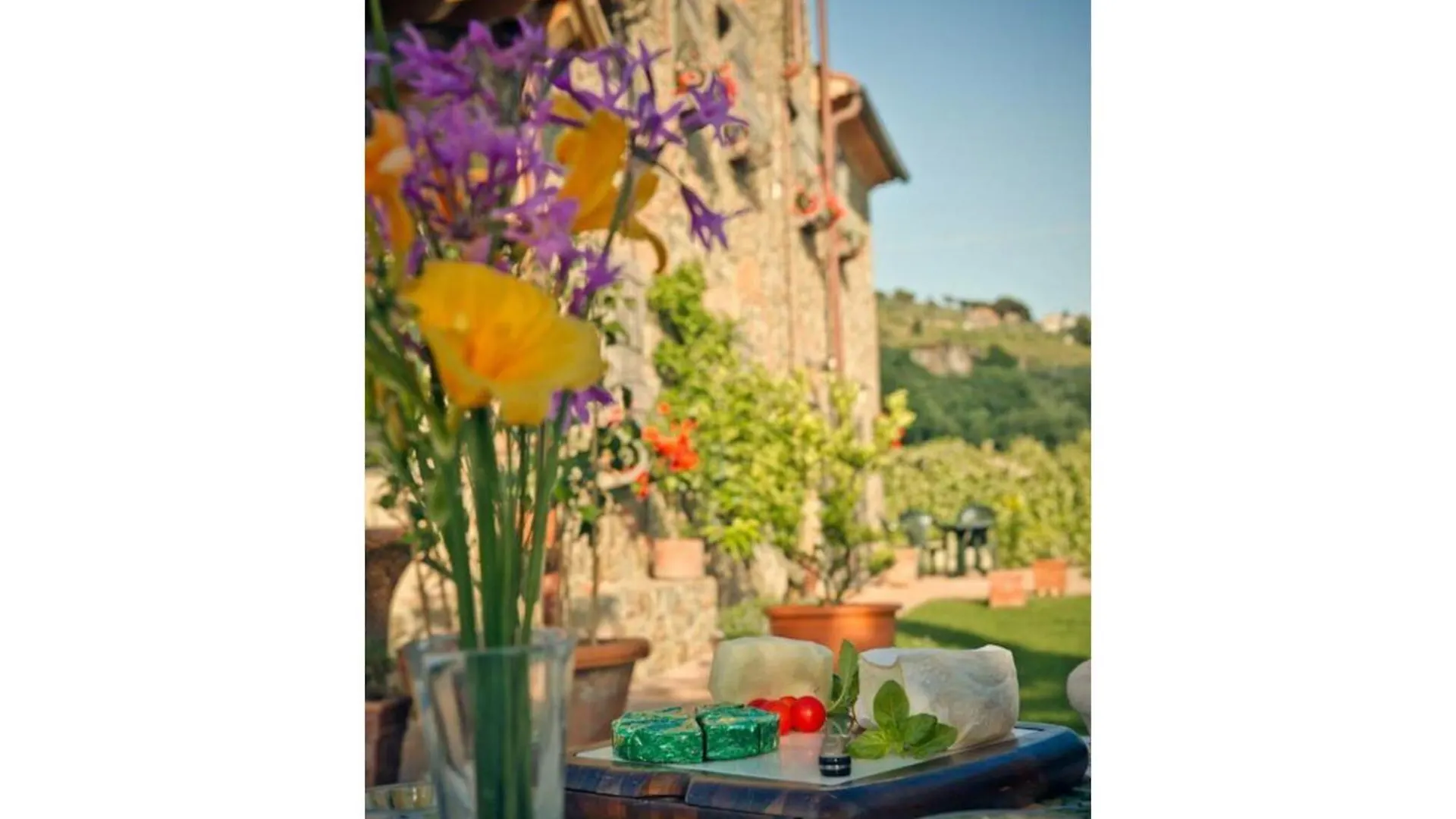 Italian Experience-Il Fienile Holiday Home Lamporecchio